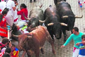 A woman falls in between bulls during the last running of the bulls at Pamplonas San Fermin festival in Spain on Sunday
