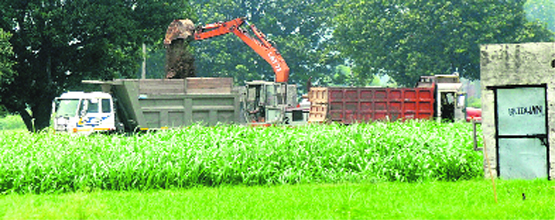 Illegal mining under way at Roorkan village in Mohali on Monday. Tribune photo: Vicky Gharu