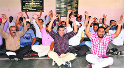 The activists of the Punjab State Ministerial Services Association stage a dharna in Bathinda on Tuesday. Photo: Bhupinder Dhillon