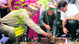 Forest Minister Thakur Singh Bharmouri plants a medicinal plant "harad" at a Maha Utsav at Dhaulatpur near Kangra on Tuesday.