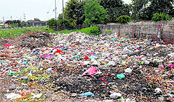 Garbage dumped at a vacant plot near railway colony