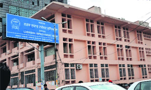 The building of the Ludhiana Improvement Trust. 