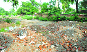The land in question on the premises of Rajindra Hospital, Patiala.