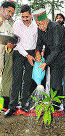 Chief Minister Virbhadra Singh plants a rhododendron sapling on the occasion of Van Mahotsav at Jakhu in Shimla on Thursday.