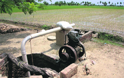 A dry tubewell with no power to run at a farm in Jalandhar on Wednesday. Tribune Photo: Malkiat Singh