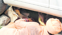 A snake charmer tries to pull out the reptile from a car in Ludhiana on Friday. Photo: Inderjeet Verma
