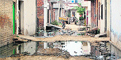 Sewage accumulated at Ghanupur Kale in Amritsar