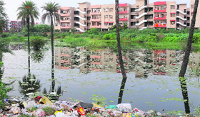 Stagnant water at Goodwill Enclave in Sector 49, Chandigarh.