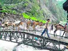 Mules being rescued after more than a month following the erection of a bailley bridge across Alaknanda river by the Border Roads Organisation in Gobind Ghat in Chamoli district on Sunday.