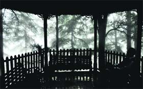 Serene silence: A visitor enjoys the beauty of nature as fog engulfs Patnitop in Udhampur on Sunday