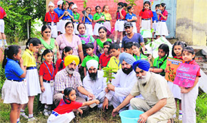 Students of Ryan School plant a sapling on the school campus in Ludhiana. 