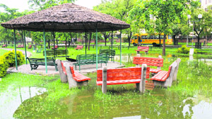Water accumulated in a park at Sector 48 in Chandigarh. 