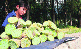 A boy sells fruit of nelumbo on the roadside near the Dal Lake in Srinagar.
