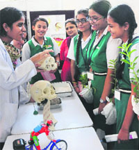 Students being demonstrated the damage caused by alcohol at the PGI workshop in Chandigarh on Tuesday.
