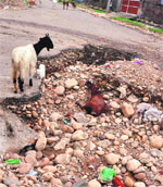A damaged road in Jammu. 
