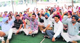 Raising demands: Members of the Punjab & Chandigarh College Teachers Union protest outside GNDU in Amritsar on Wednesday