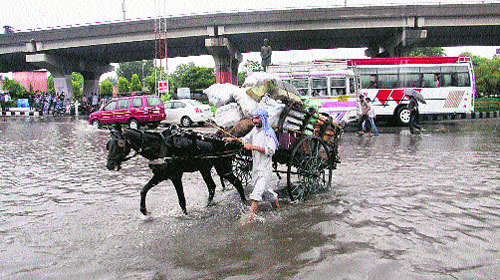 A man moves with his horse-cart through a waterlogged road after rains in Jammu on Wednesday. 