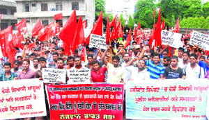 Members of Naujawan Sabha take out a rally in Jalandhar on Wednesday.