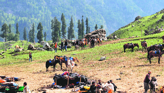 Pony owners wait for tourists at Sonamarg on Wednesday.
