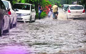 A waterlogged street outside the Govt College for Girls in Ludhiana on Wednesday