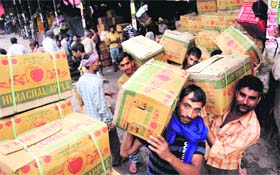 Apple cartons from Himachal Pradesh arrive at the Sector 26 fruit market in Chandigarh on Thursday