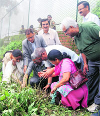Mussoorie Municipal Council president Manmohan Singh Mall plants a sapling on the 69th death anniversary of freedom fighter Sridev Suman in Mussoorie on Thursday. 