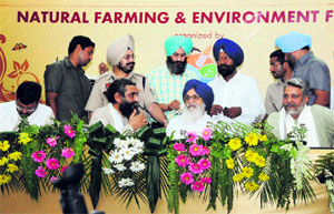 (From left) KVM director Umendra Dutt, Chief Minister Parkash Singh Badal and Ramon Magsaysay Award recipient Rajendra Singh at the inaugural ceremony of the natural farming and environment festival in Bathinda on Friday; and (below) a woman cooks a dish in a traditional way, using a leaf, at the Bebe Di Rasoi during the festival. 