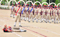 Unable to bear excessive heat, commandant Manish Kumar falls on the ground during the passing-out parade at the Haryana Police Academy in Madhuban on Friday.