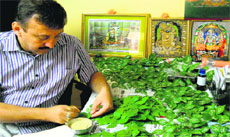 Teerth Purohit Pundit Rajeev Sharma inscribes Lord Ramas name on 1,100 Bel Patra leaves to appease Lord Shiva near Har-Ki-Pauri in Haridwar. 