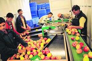 Farmers now have cold storage facilities and are members of an agro-business enterprise.