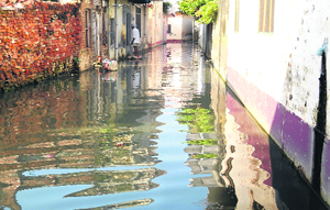 Sewage accumulates on a road at Hirapur village in Jalandhar.