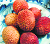 Litchi contains high levels of Vitamin C