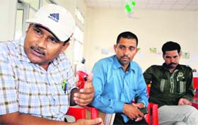 (From left) Manoj Kumar, Nitish Kumar and Sumant Kumar, who are world-record holders in organic farming