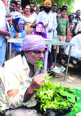 Former municipal councillor Vijay Kumar demonstrates how people will have to survive on leaves if prices continue to rise, in Bathinda on Sunday