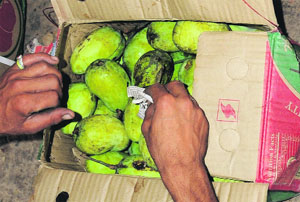 A worker shows a packet of calcium carbide, a chemical used to ripen mangoes, at the fruit market in Sector 26, Chandigarh.