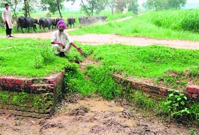 A farmer shows the blocked Chhina minor in Ajnala