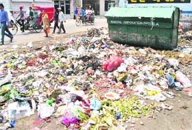 A garbage dump at Lahori Gate in Patiala