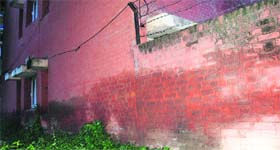 A damp wall of a government house in Sector 38, Chandigarh