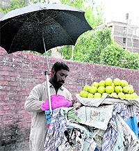 A fruit vendor shields himself from the sun with an umbrella