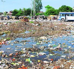 Garbage dumped in an area adjoining the vegetable market at Phase VI, Mohali.