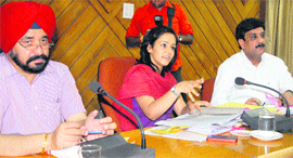 Deputy Commissioner Shruti Singh at the monthly review meeting of various departments in Jalandhar on Tuesday.
