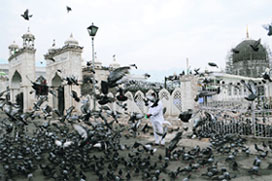 A man feeds pigeons at the Hazratbal shrine during the fasting month of Ramadan in Srinagar on Tuesday.