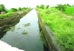 The Saraswati distributory canal, which supplies water to many areas in Kaithal and Kurukshetra, shows little water near the Pehowa-Kaithal road on Friday. Photo by writer