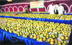 The Horticulture Department holds the Pear Festival at Guru Nanak Bhawan in Amritsar on Saturday. Photo: Sameer Sehgal