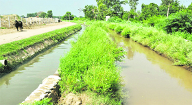 The sullage carrier and distributary of Sirhind canal, whose water is used for irrigation and drinking purposes, run parallel near the garbage dumping site on Mansa road.
