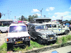 The vehicles impounded by the police in Dehradun on late Saturday evening. 