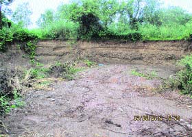A demarcated protected forest area on the Nalagarh-Ropar state highway