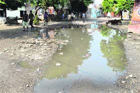 Stagnant water, a perfect place for mosquitoes to breed, on the main road of EWS Colony on Tajpur Road near Ludhiana