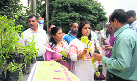 Members of the Patanjali Yog Samiti distribute saplings in Dehradun.