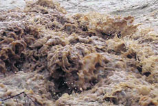 The Ganga in spate following heavy rains in Dehradun on Wednesday. 